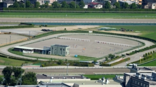 Thumbnail of post image 104